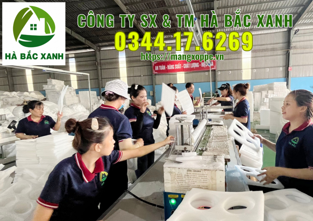 cong-ty-tnhh-sx-&-tm-ha-bac-xanh