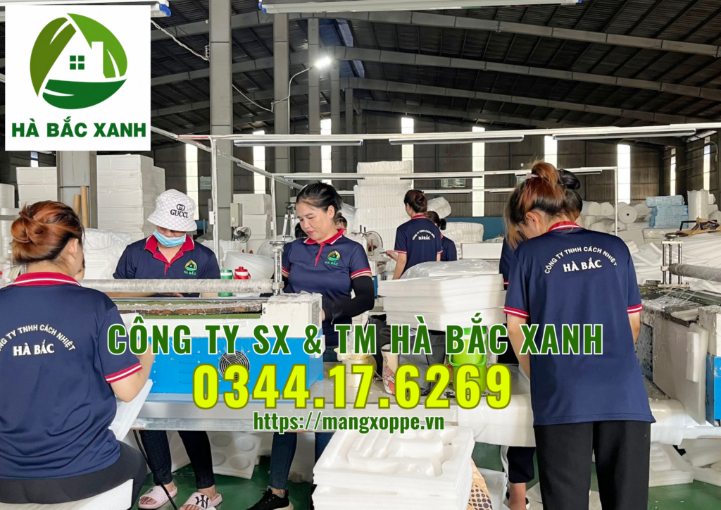 cong-ty-tnhh-sx-&-tm-ha-bac-xanh