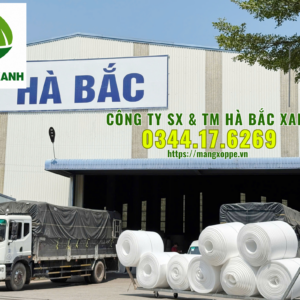 cong-ty-tnhh-sx-&-tm-ha-bac-xanh