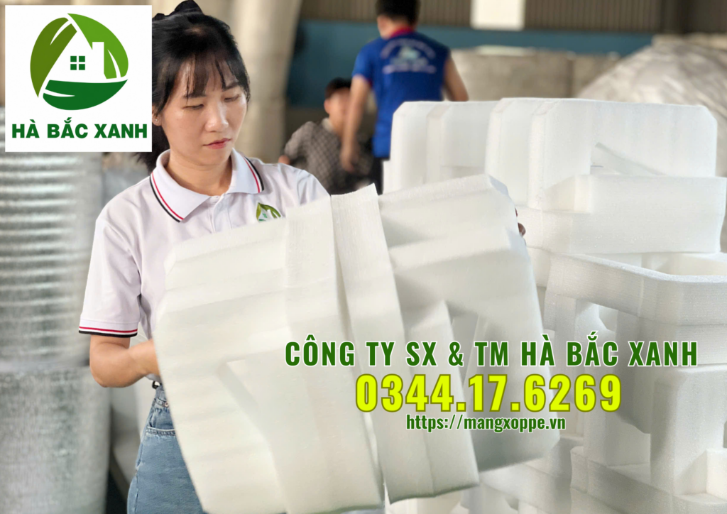 cong-ty-tnhh-sx-&-tm-ha-bac-xanh