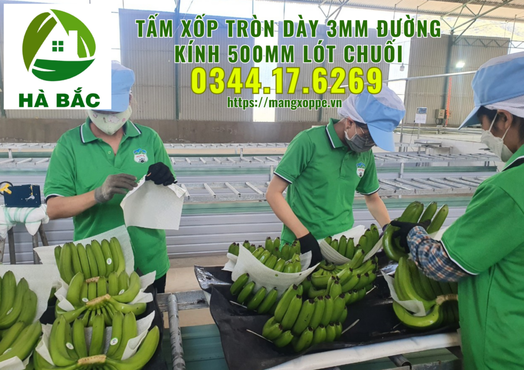 tam-xop-tron-day-3mm-duong-kinh-500mm-lot-chuoi