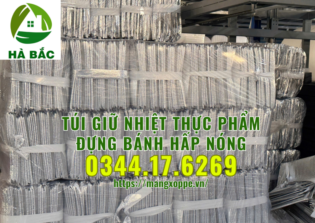 tui-giu-nhiet-thuc-pham-dung-banh-hap-nong-tai-tphcm