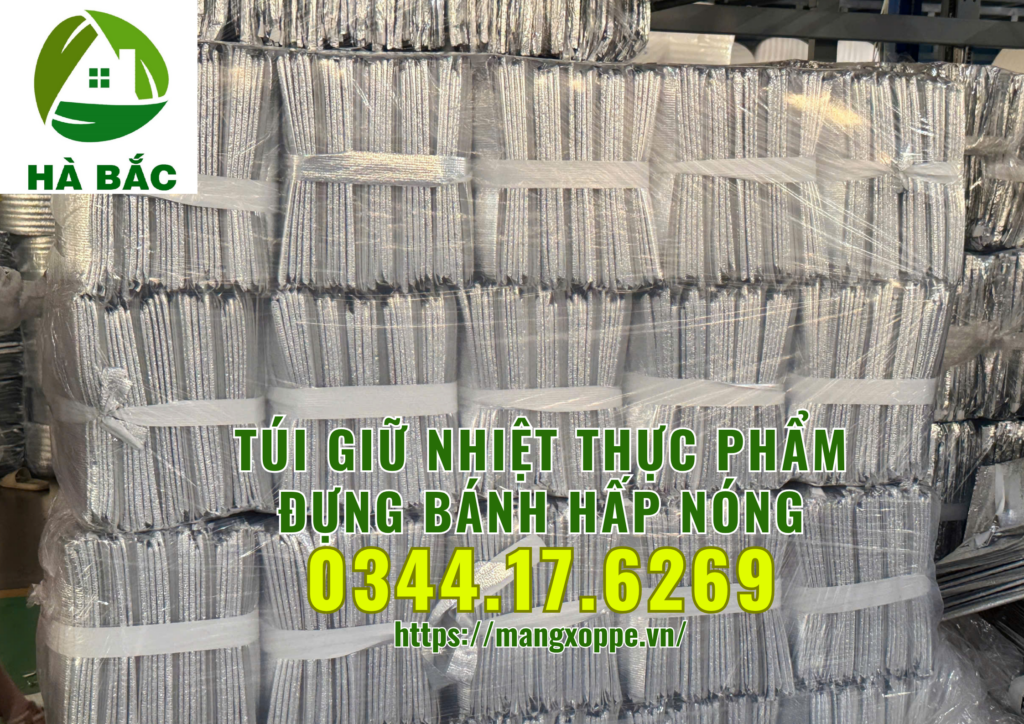 tui-giu-nhiet-thuc-pham-dung-banh-hap-nong-tai-tphcm