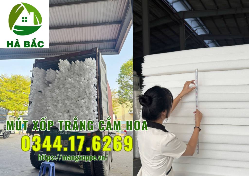 xop-trang-cam-hoa-tai-binh-chanh