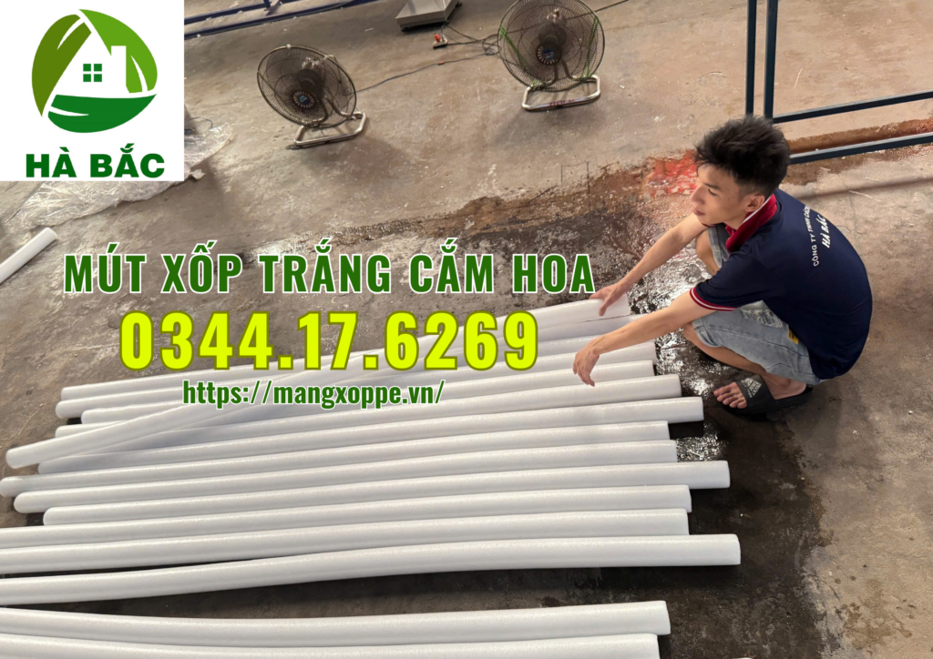 xop-trang-cam-hoa-tai-binh-chanh