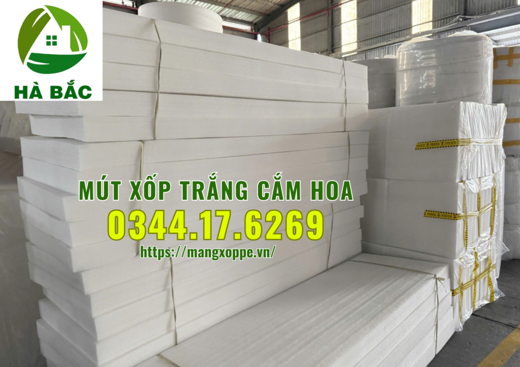 xop-trang-cam-hoa-tai-binh-chanh