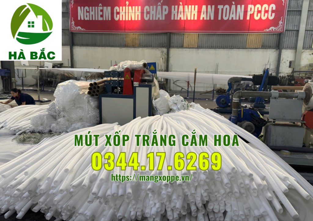xop-trang-cam-hoa-tai-binh-chanh