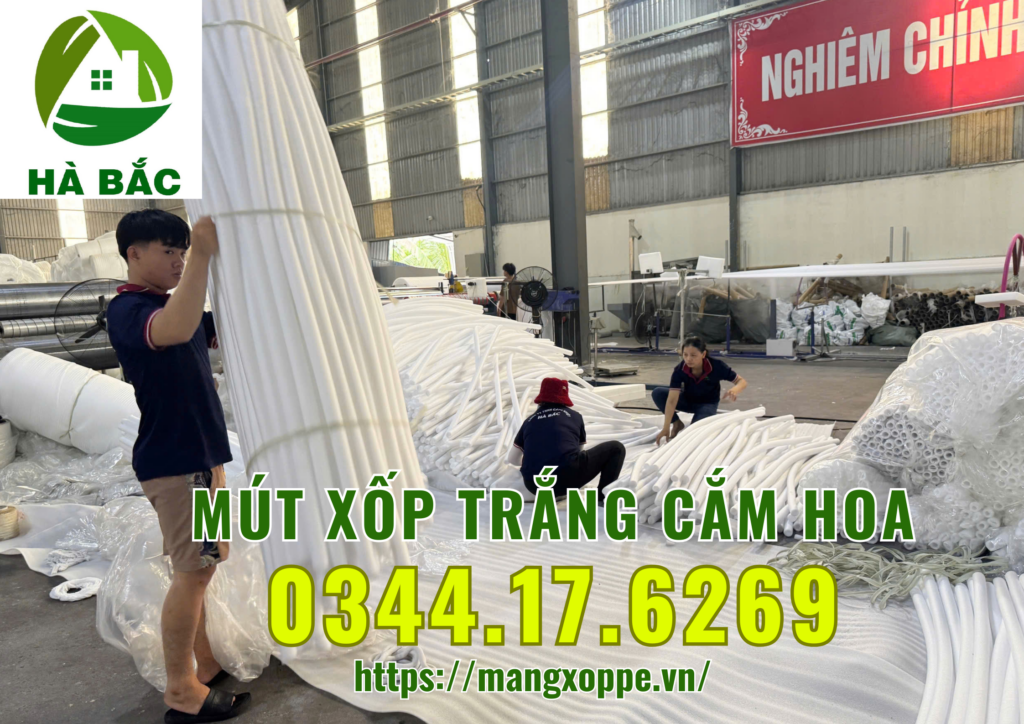 xop-trang-cam-hoa-tai-binh-chanh