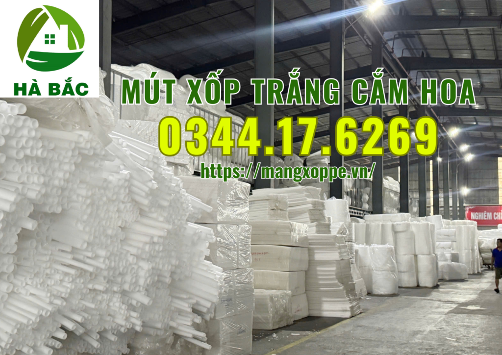 xop-trang-cam-hoa-tai-binh-chanh