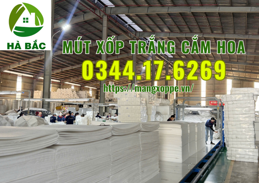 xop-trang-cam-hoa-tai-binh-chanh