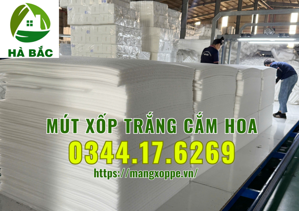 xop-trang-cam-hoa-tai-binh-chanh