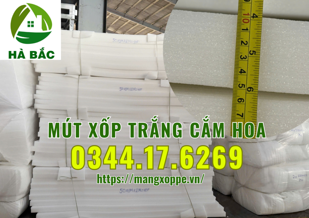 xop-trang-cam-hoa-tai-binh-chanh