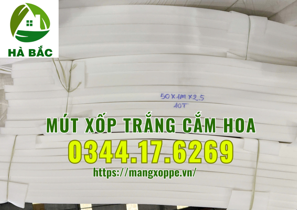 xop-trang-cam-hoa-tai-binh-chanh
