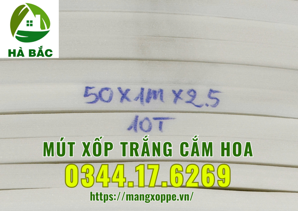 xop-trang-cam-hoa-tai-binh-chanh