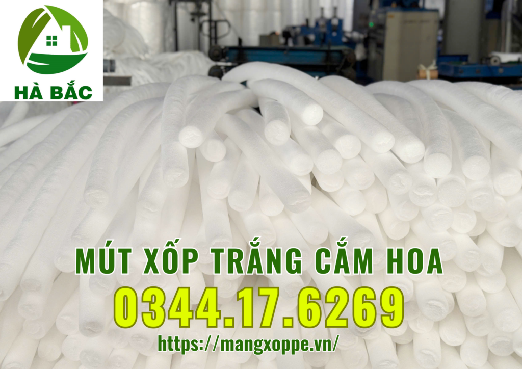 xop-trang-cam-hoa-tai-binh-chanh