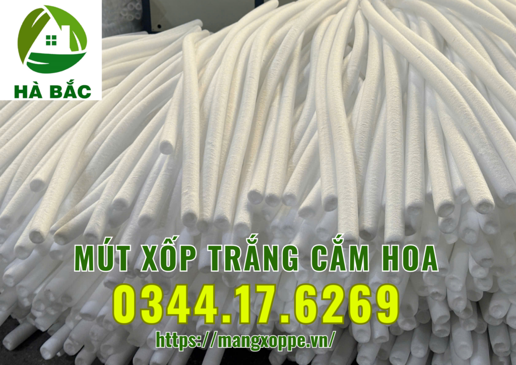 xop-trang-cam-hoa-tai-binh-chanh