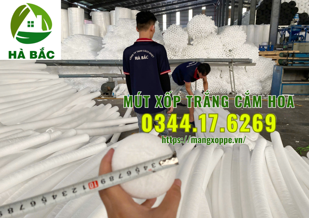 xop-trang-cam-hoa-tai-binh-chanh