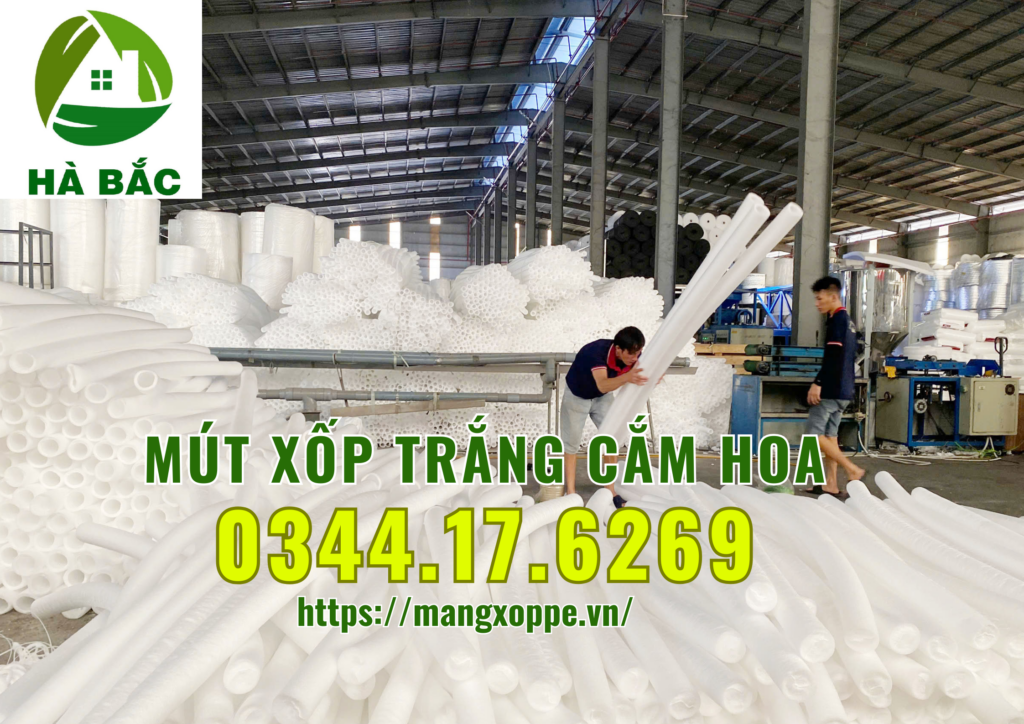 xop-trang-cam-hoa-tai-binh-chanh