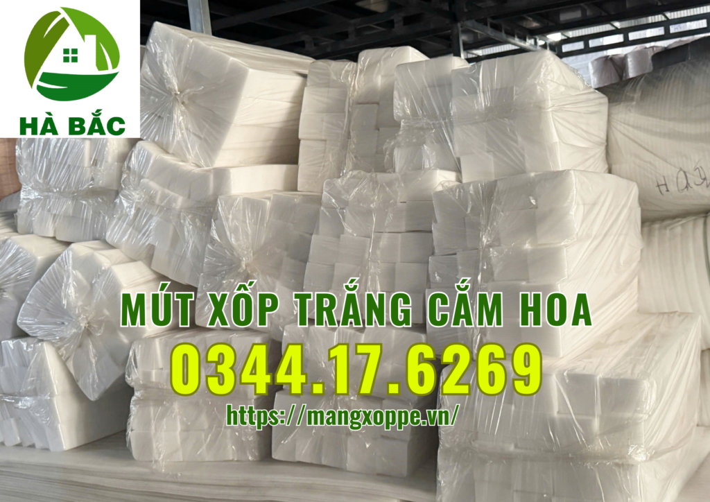 xop-trang-cam-hoa-tai-binh-chanh
