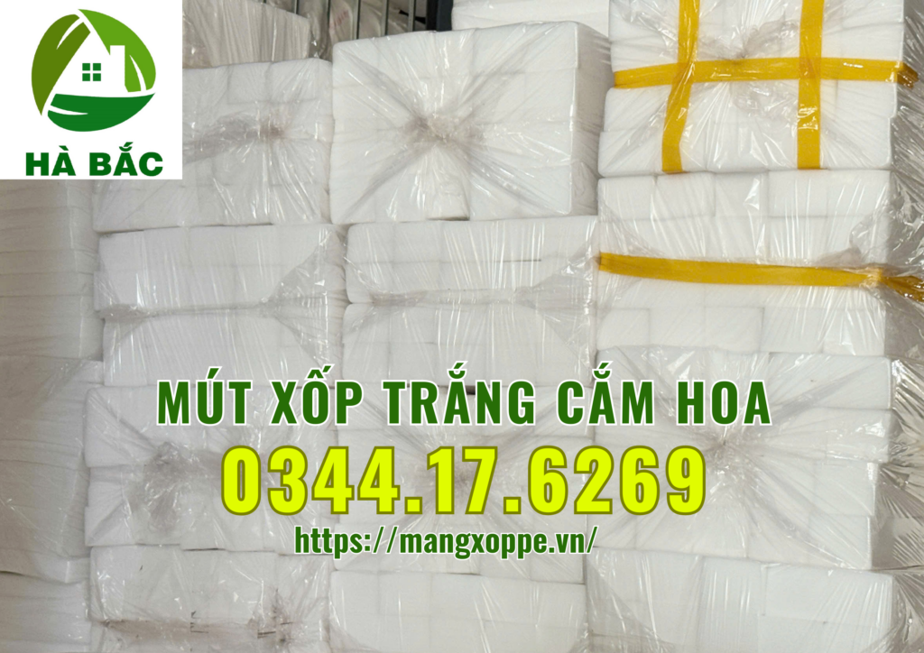 xop-trang-cam-hoa-tai-binh-chanh