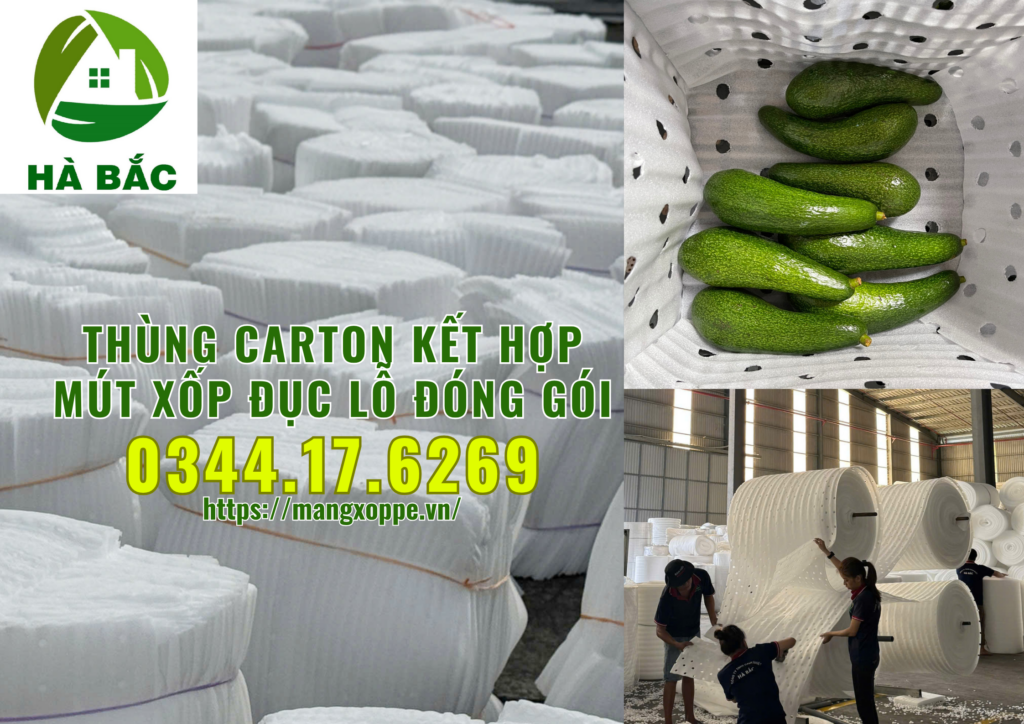 thung-carton-ket-hop-mut-xop-duc-lo-dong-goi-trai-cay-xuat-khau-tai-binh-duong thung-carton-ket-hop-mut-xop-duc-lo-dong-goi-trai-cay-xuat-khau-tai-binh-duong