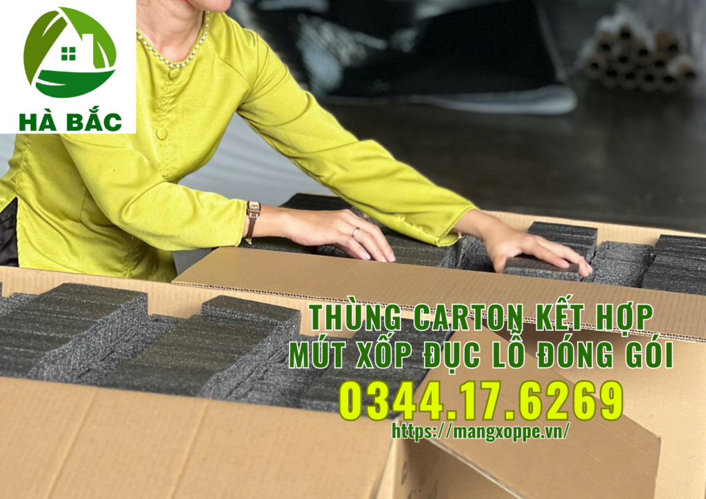 thung-carton-ket-hop-mut-xop-duc-lo-dong-goi-trai-cay-xuat-khau-tai-binh-duong thung-carton-ket-hop-mut-xop-duc-lo-dong-goi-trai-cay-xuat-khau-tai-binh-duong