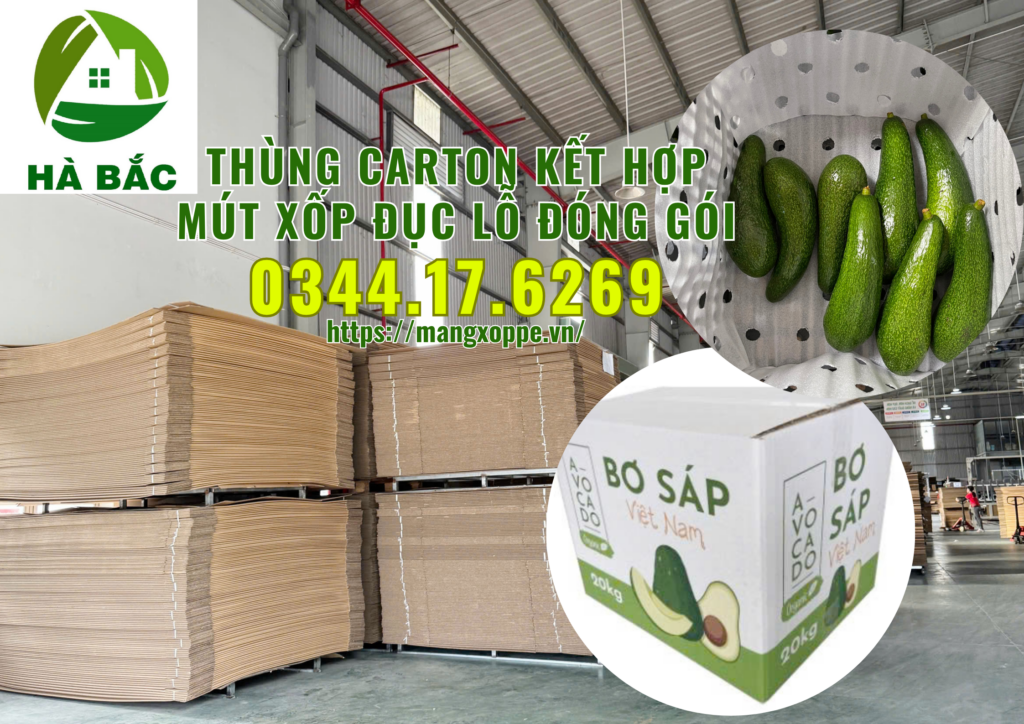 thung-carton-ket-hop-mut-xop-duc-lo-dong-goi-trai-cay-xuat-khau-tai-binh-duong thung-carton-ket-hop-mut-xop-duc-lo-dong-goi-trai-cay-xuat-khau-tai-binh-duong