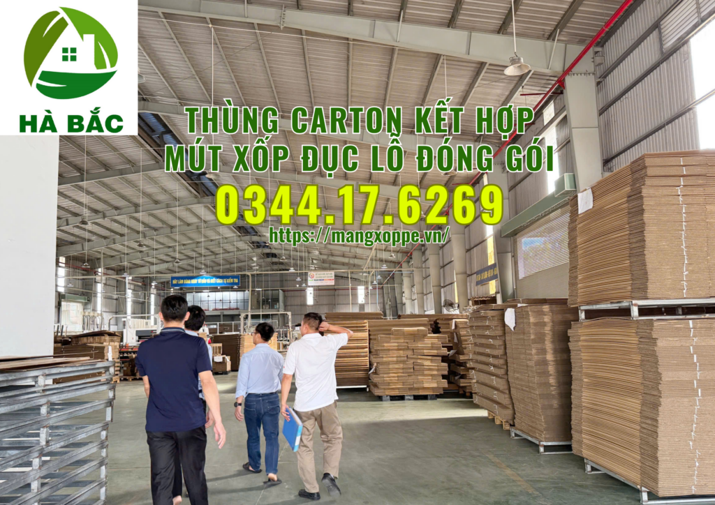 thung-carton-ket-hop-mut-xop-duc-lo-dong-goi-trai-cay-xuat-khau-tai-binh-duong thung-carton-ket-hop-mut-xop-duc-lo-dong-goi-trai-cay-xuat-khau-tai-binh-duong