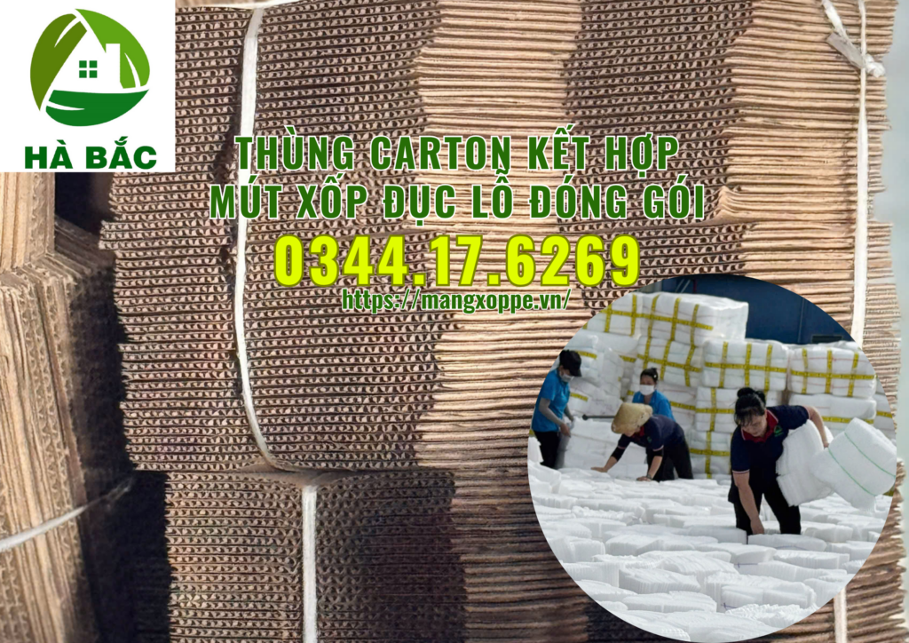 thung-carton-ket-hop-mut-xop-duc-lo-dong-goi-trai-cay-xuat-khau-tai-binh-duong thung-carton-ket-hop-mut-xop-duc-lo-dong-goi-trai-cay-xuat-khau-tai-binh-duong