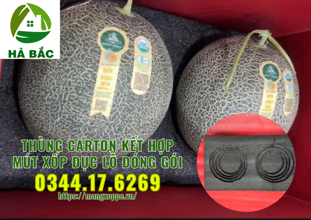 thung-carton-ket-hop-mut-xop-duc-lo-dong-goi-trai-cay-xuat-khau-tai-binh-duong thung-carton-ket-hop-mut-xop-duc-lo-dong-goi-trai-cay-xuat-khau-tai-binh-duong