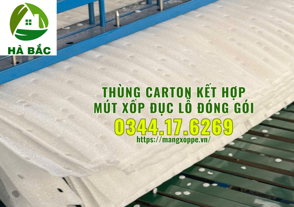 thung-carton-ket-hop-mut-xop-duc-lo-dong-goi-trai-cay-xuat-khau-tai-binh-duong thung-carton-ket-hop-mut-xop-duc-lo-dong-goi-trai-cay-xuat-khau-tai-binh-duong