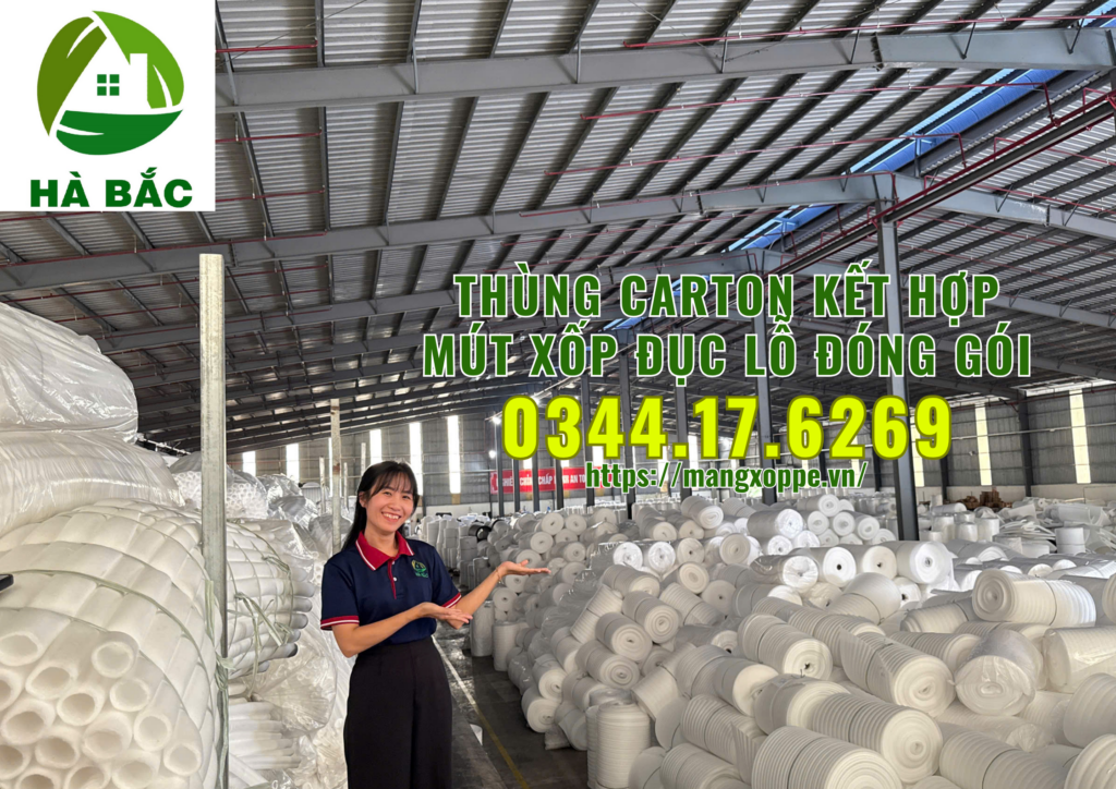 thung-carton-ket-hop-mut-xop-duc-lo-dong-goi-trai-cay-xuat-khau-tai-binh-duong thung-carton-ket-hop-mut-xop-duc-lo-dong-goi-trai-cay-xuat-khau-tai-binh-duong