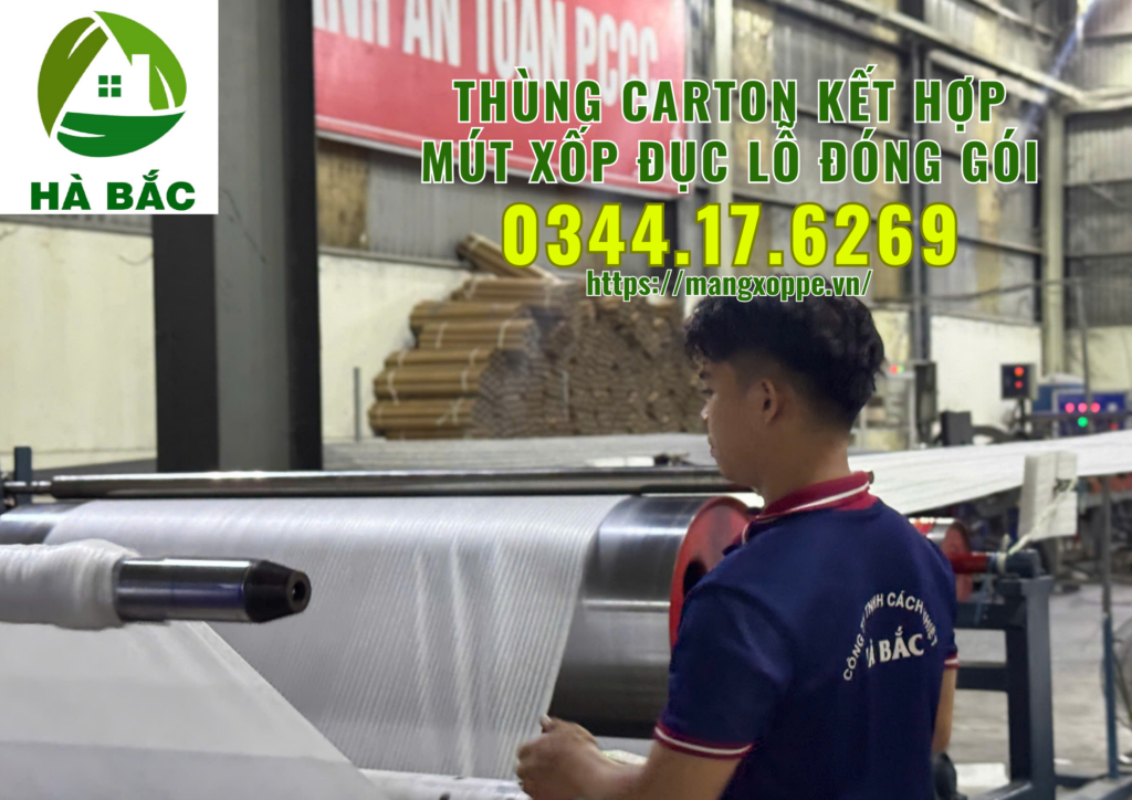 thung-carton-ket-hop-mut-xop-duc-lo-dong-goi-trai-cay-xuat-khau-tai-binh-duong thung-carton-ket-hop-mut-xop-duc-lo-dong-goi-trai-cay-xuat-khau-tai-binh-duong