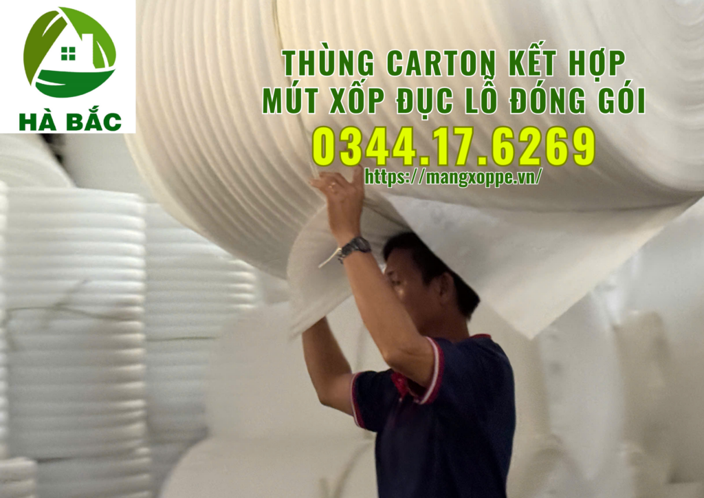 thung-carton-ket-hop-mut-xop-duc-lo-dong-goi-trai-cay-xuat-khau-tai-binh-duong thung-carton-ket-hop-mut-xop-duc-lo-dong-goi-trai-cay-xuat-khau-tai-binh-duong