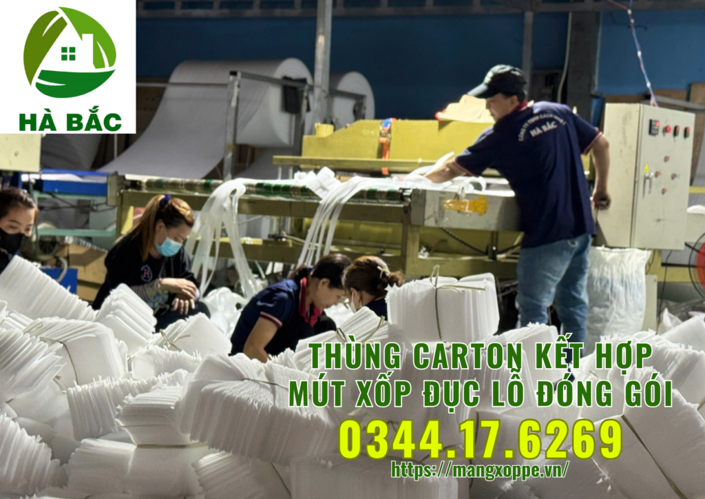 thung-carton-ket-hop-mut-xop-duc-lo-dong-goi-trai-cay-xuat-khau-tai-binh-duong thung-carton-ket-hop-mut-xop-duc-lo-dong-goi-trai-cay-xuat-khau-tai-binh-duong