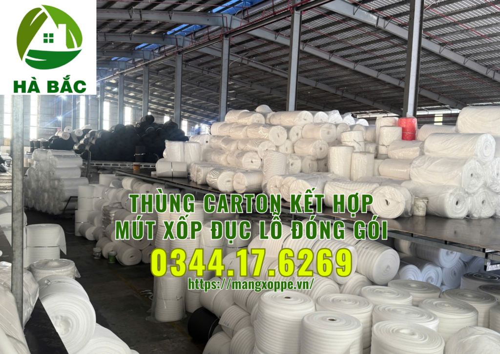 thung-carton-ket-hop-mut-xop-duc-lo-dong-goi-trai-cay-xuat-khau-tai-binh-duong thung-carton-ket-hop-mut-xop-duc-lo-dong-goi-trai-cay-xuat-khau-tai-binh-duong