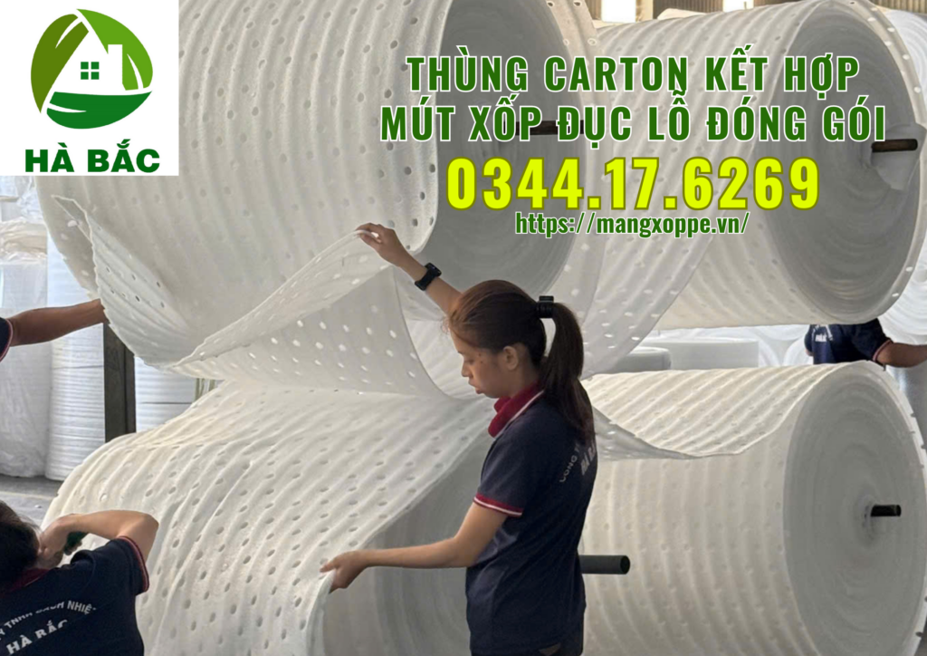 thung-carton-ket-hop-mut-xop-duc-lo-dong-goi-trai-cay-xuat-khau-tai-binh-duong thung-carton-ket-hop-mut-xop-duc-lo-dong-goi-trai-cay-xuat-khau-tai-binh-duong