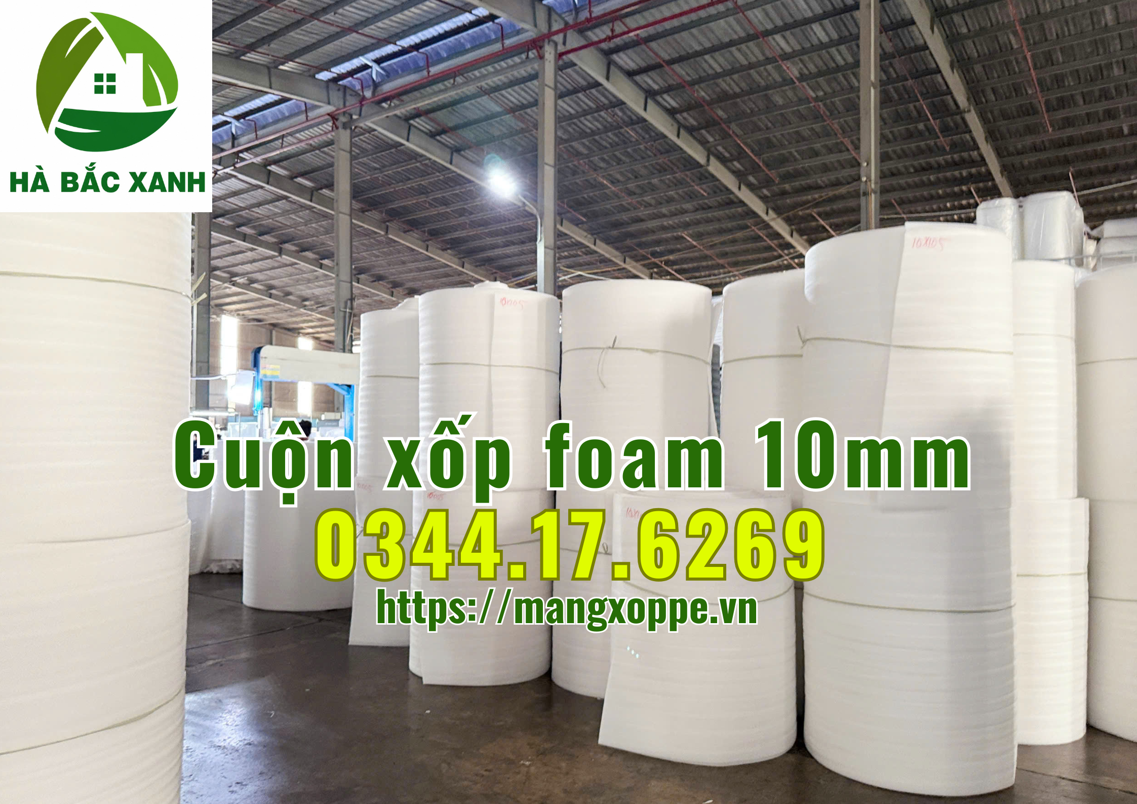 cuon-xop-foam-10mm