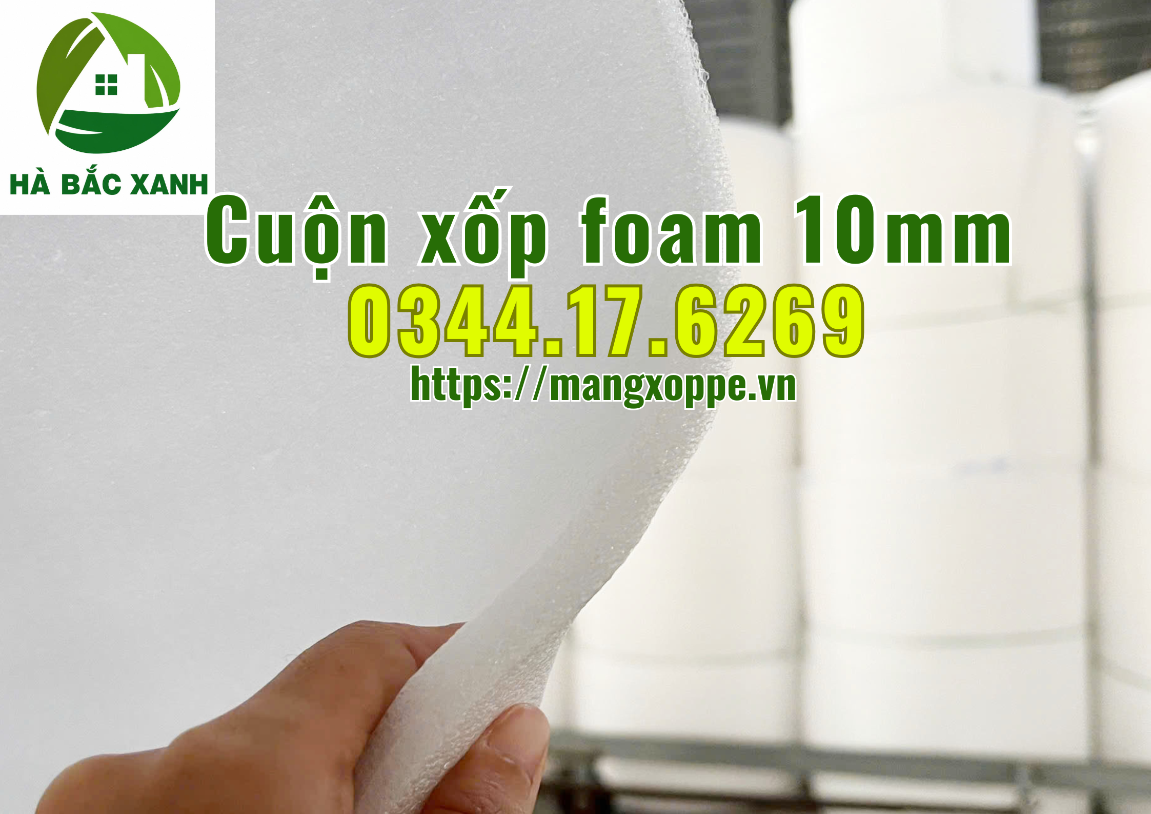 cuon-xop-foam-10mm