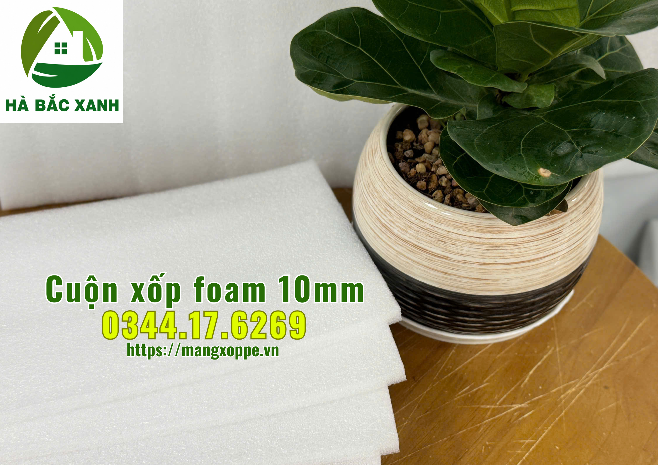 cuon-xop-foam-10mm