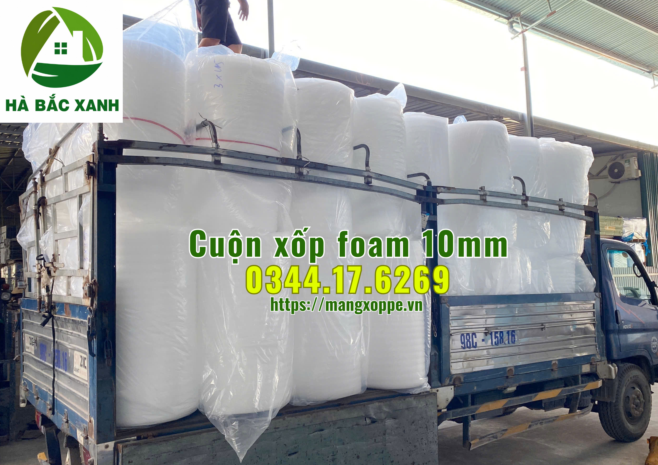 cuon-xop-foam-10mm