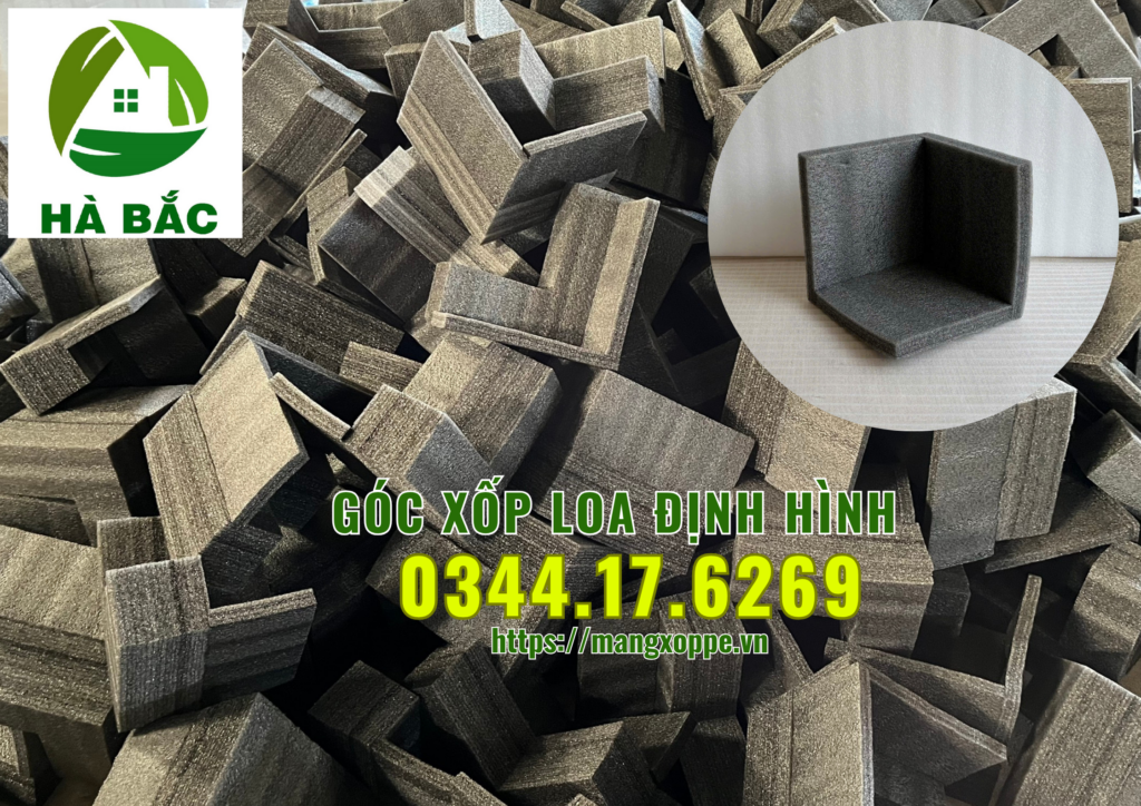 khay-xop-loa-dinh-hinh