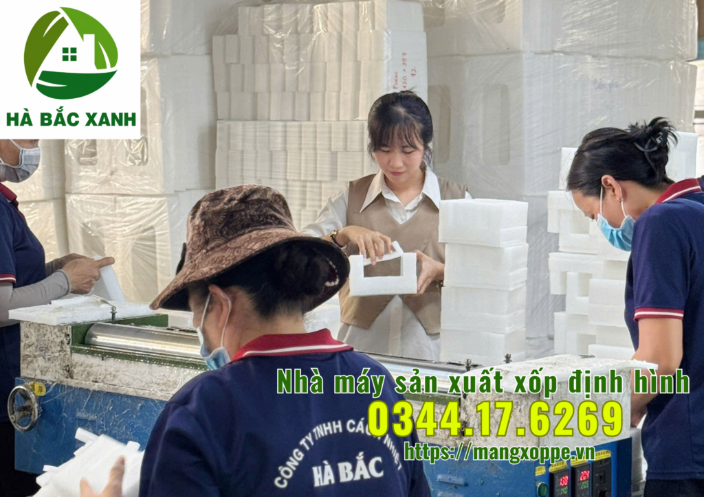 nha-may-san-xuat-xop-dinh-hinh