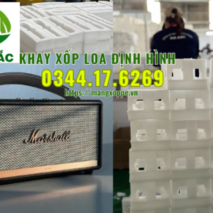 khay-xop-loa-dinh-hinh
