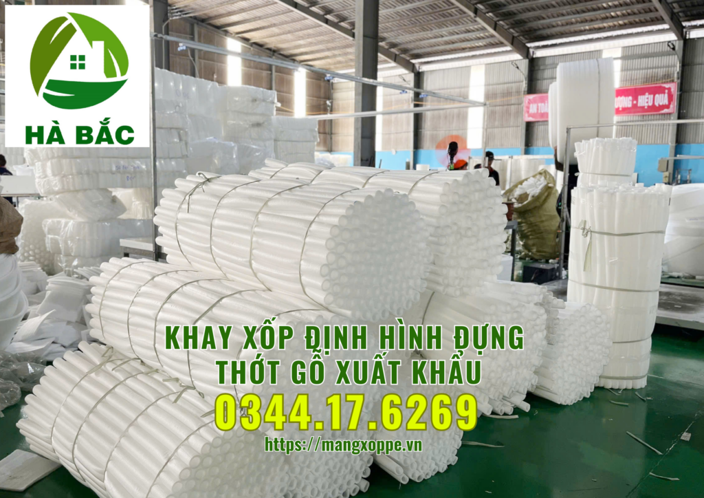 khay-xop-dinh-hinh-dung-thot-go-xuat-khau-tai-binh-duong