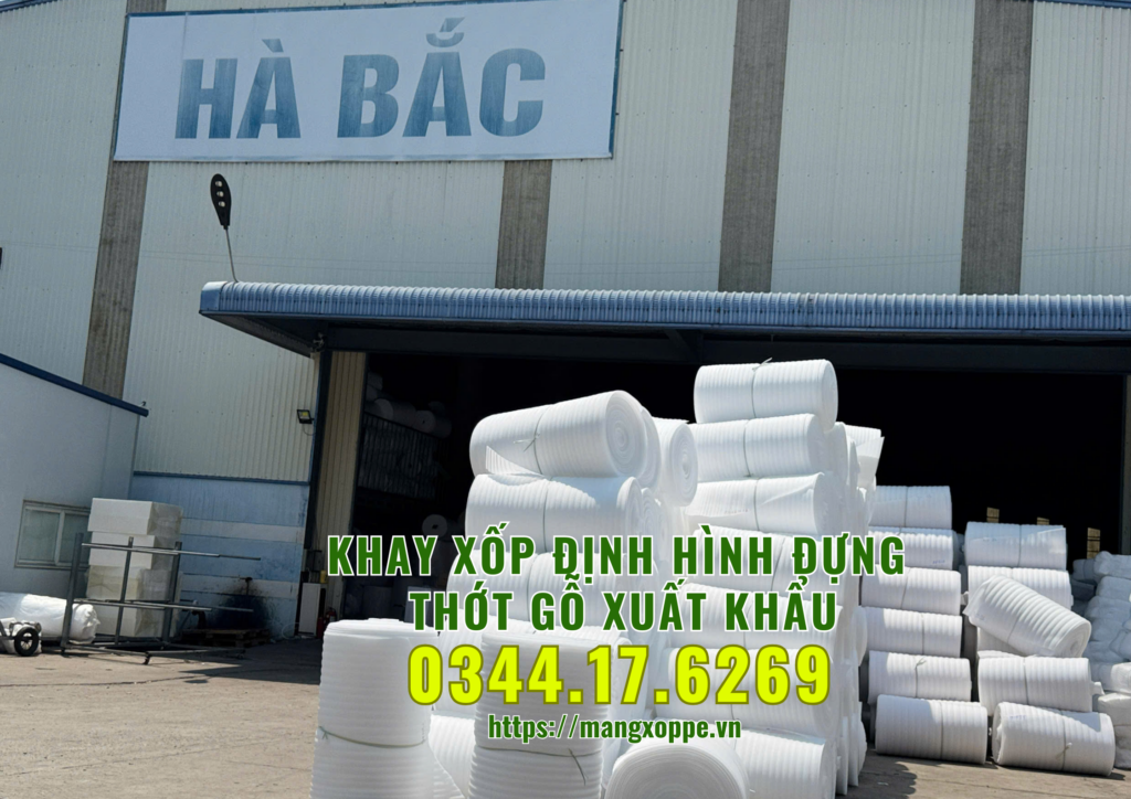 khay-xop-dinh-hinh-dung-thot-go-xuat-khau-tai-binh-duong
