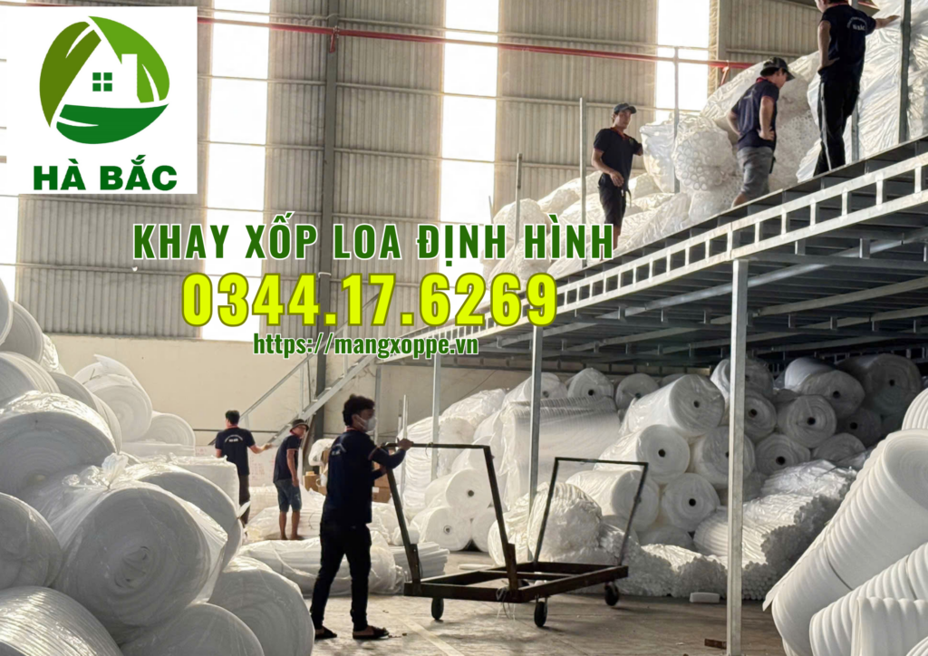 khay-xop-loa-dinh-hinh