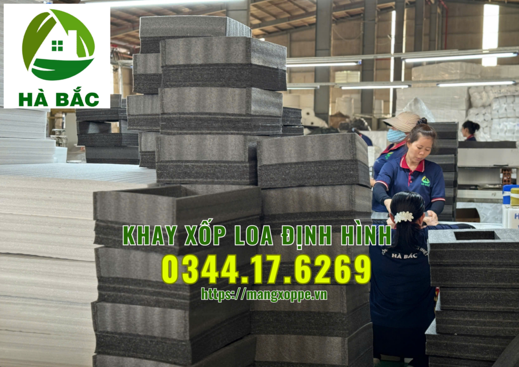 khay-xop-loa-dinh-hinh