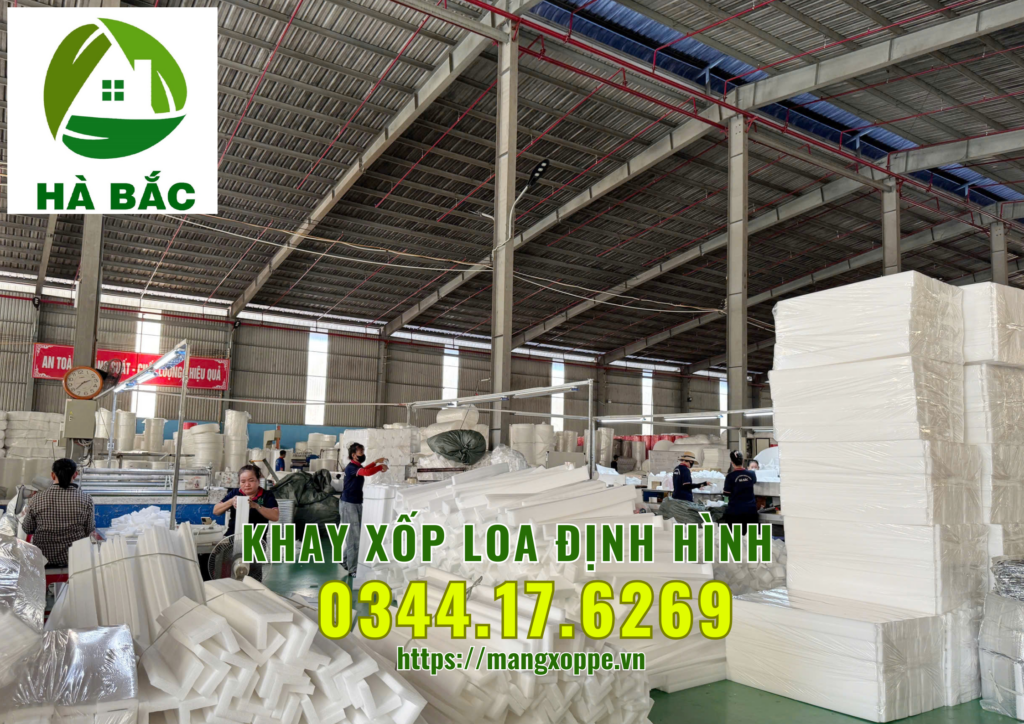 khay-xop-loa-dinh-hinh