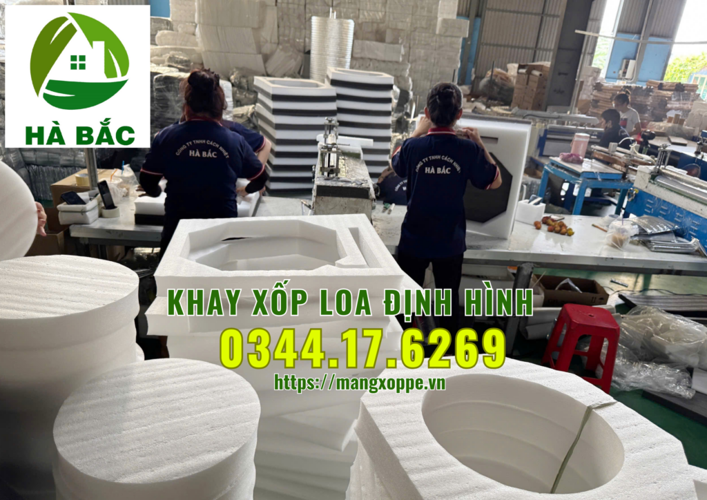 khay-xop-loa-dinh-hinh